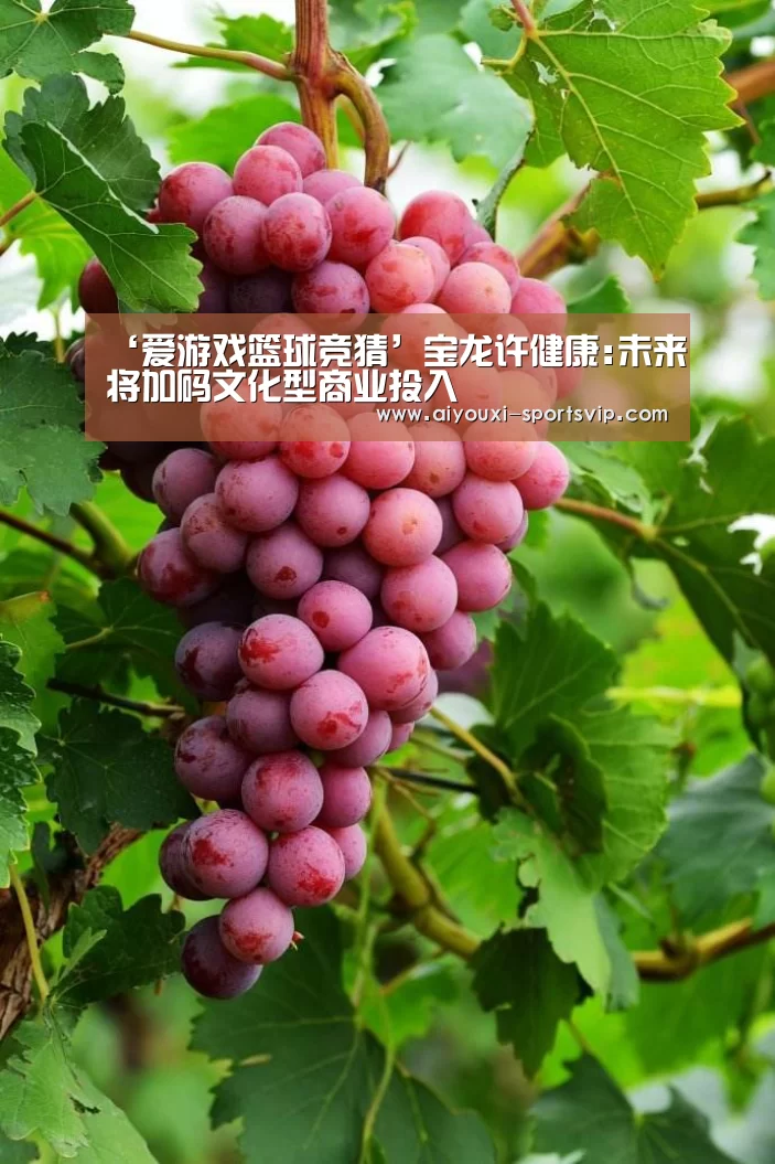 ‘爱游戏篮球竞猜’宝龙许健康:未来将加码文化型商业投入(图3) 爱游戏体育竞猜