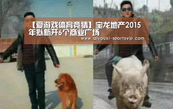 爱游戏篮球竞猜